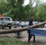 За выходные в Альметьевске повалило 4 дерева - Альметьевск РТВ