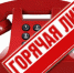 Для женщин, оказавшихся в трудной жизненной ситуации, откроют «горячую линию» - Альметьевский район