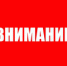 Осуществляется прием документов для участия в конкурсе на должность директора «Центра занятости населения города Альметьевска» - Телекомпания Луч