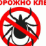 Татарстанцам рассказали, когда ждать нашествия клещей - Телекомпания Луч