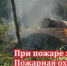 Штормовое предупреждение о высокой и чрезвычайной пожарной опасности лесов на территории Республики Татарстан - Телекомпания Луч
