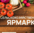 Добро пожаловать на осеннюю сельскохозяйственную ярмарку! - Телекомпания Луч