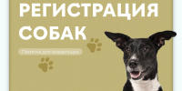 Альметьевцам напоминают о регистрации питомцев - Альметьевский район