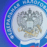 Руководителя татарстанской фирмы подозревают в махинациях на 31 млн рублей - Альметьевск РТВ