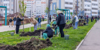 Кукольный театр, мастер-классы и посадка яблонь: проект «Күрше» преобразит дворы Альметьевска. - Альметьевский район