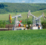 С днем работника нефтяной и газовой промышленности! - Альметьевский район