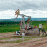 В Заинском районе прошли учения по ликвидации нефтеразливов - Альметьевск РТВ