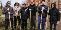 В Альметьевске высадили 33 крупномерных дерева - Альметьевский район