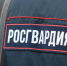 Росгвардия запустила онлайн-сервис «Антитеррористическая защищенность» - Альметьевск РТВ