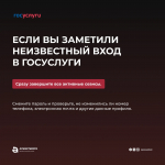 Что делать, если вы столкнулись с действиями мошенников?