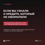 Что делать, если вы столкнулись с действиями мошенников?